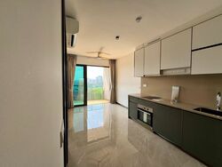 Normanton Park (D5), Apartment #480913511
